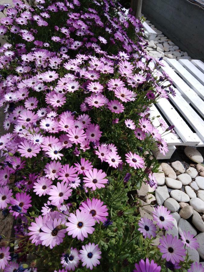 Sofia'S Garden Apartment Limenaria (Thasos) Exterior foto